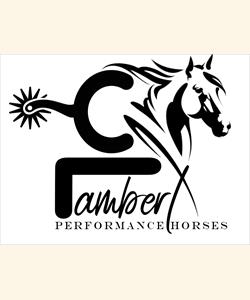 Lambert Performance Horses